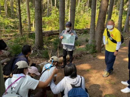 洞爺湖大島の解説